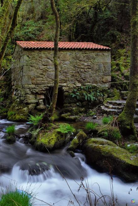 Vila Eirixo Valga Exteriér fotografie